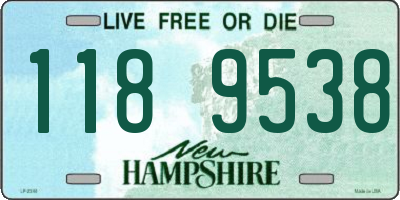 NH license plate 1189538