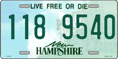 NH license plate 1189540