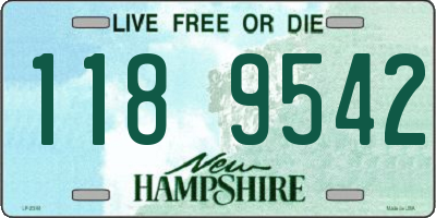 NH license plate 1189542