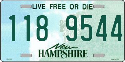 NH license plate 1189544