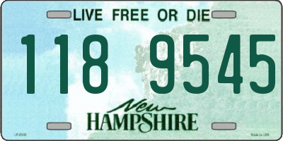 NH license plate 1189545