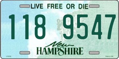 NH license plate 1189547