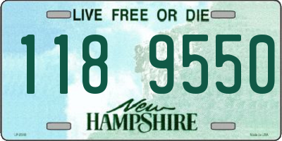 NH license plate 1189550
