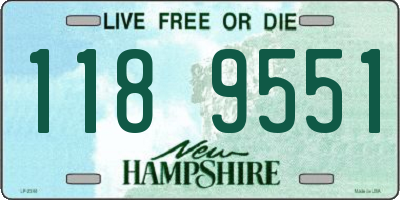 NH license plate 1189551