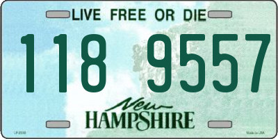 NH license plate 1189557