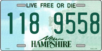 NH license plate 1189558