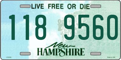 NH license plate 1189560