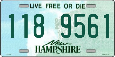 NH license plate 1189561