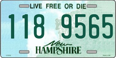 NH license plate 1189565