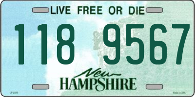 NH license plate 1189567