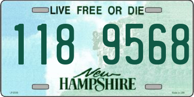 NH license plate 1189568