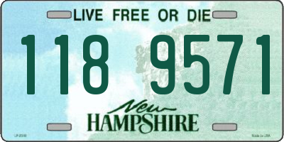 NH license plate 1189571