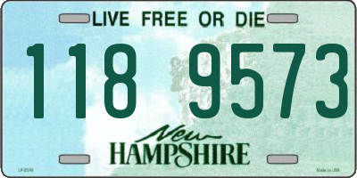 NH license plate 1189573