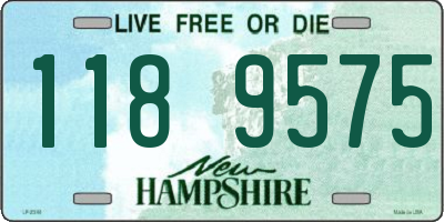NH license plate 1189575
