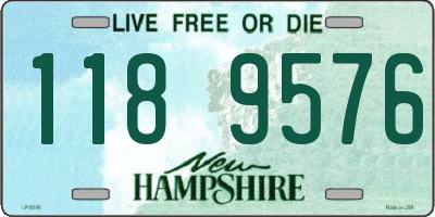 NH license plate 1189576
