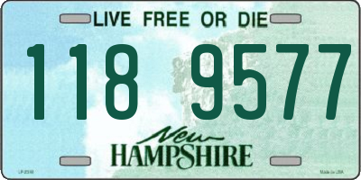 NH license plate 1189577