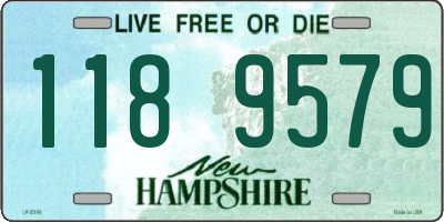 NH license plate 1189579