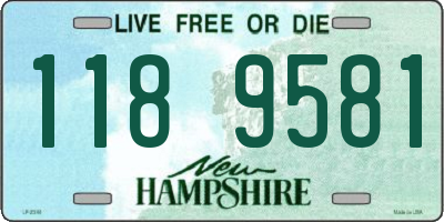 NH license plate 1189581