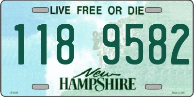 NH license plate 1189582