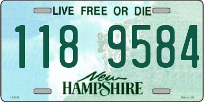 NH license plate 1189584