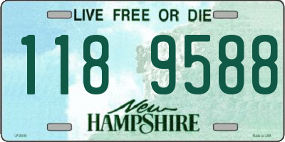 NH license plate 1189588