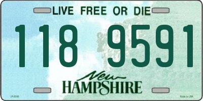 NH license plate 1189591