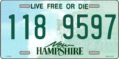 NH license plate 1189597
