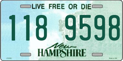 NH license plate 1189598