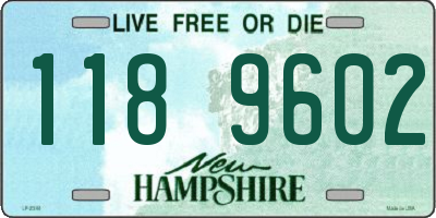 NH license plate 1189602