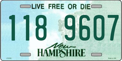 NH license plate 1189607
