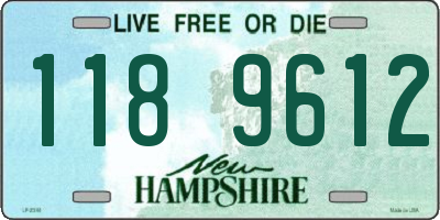 NH license plate 1189612