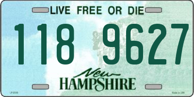 NH license plate 1189627