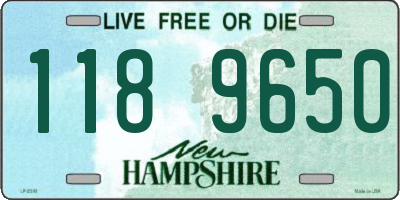 NH license plate 1189650