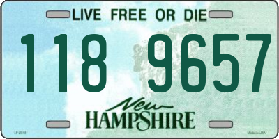 NH license plate 1189657