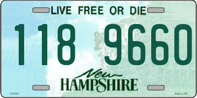 NH license plate 1189660