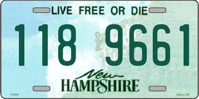 NH license plate 1189661