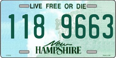 NH license plate 1189663