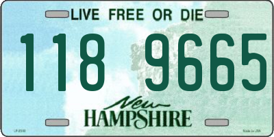 NH license plate 1189665