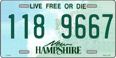 NH license plate 1189667