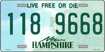 NH license plate 1189668