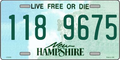 NH license plate 1189675