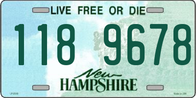 NH license plate 1189678