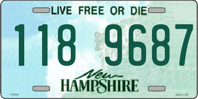 NH license plate 1189687