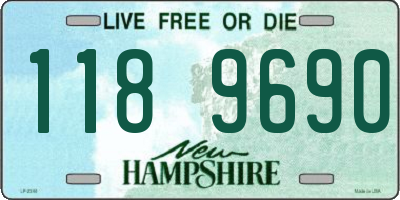 NH license plate 1189690