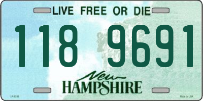NH license plate 1189691