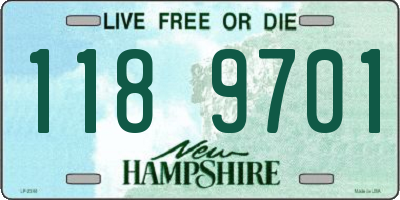 NH license plate 1189701