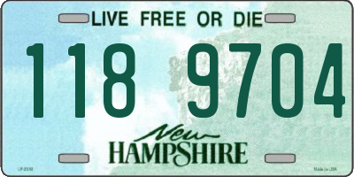 NH license plate 1189704