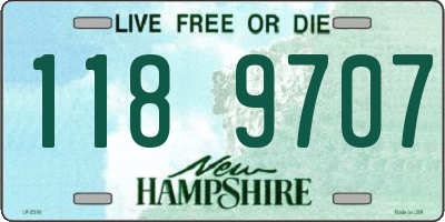 NH license plate 1189707
