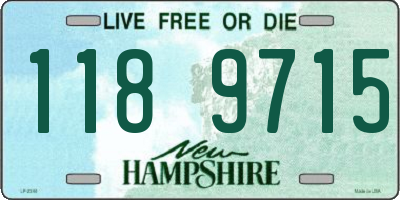 NH license plate 1189715