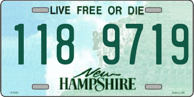 NH license plate 1189719